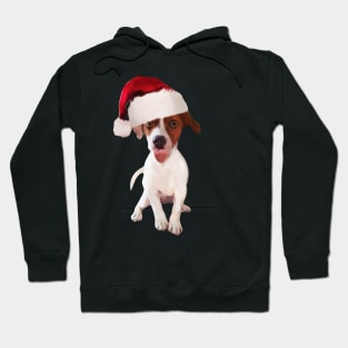 Funny Christmas Jack Russell In Santa Hat Hoodie